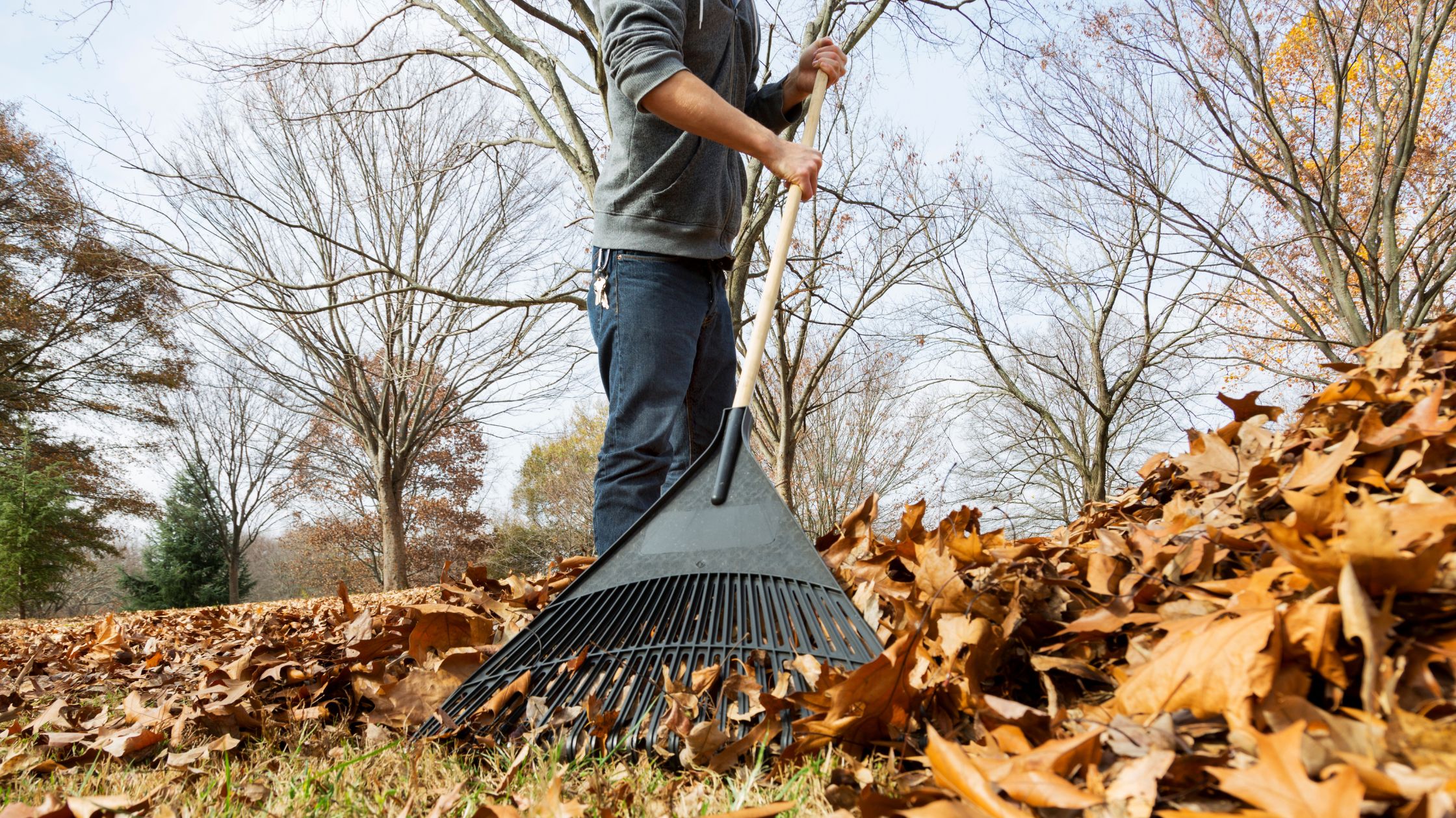 The Entrepreneurial Spark: From Leaf Raking to Tech Innovator